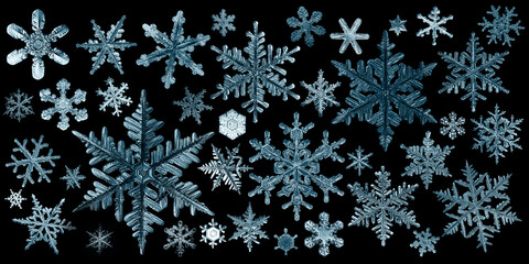 Wall Mural - snowflakes isolate black background, abstract ornament winter wallpaper design snowflake natural photo