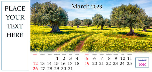 March 2023. Desktop monthly calendar template with place logo and contact information. Set of calendars with amazing landscapes. Sunny spring scene of olive garden on Milazzo cape, Sicily, Italy.