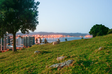 Wall Mural - As sunrises while lights still on in town from slope on Mount Maunganui