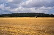 Harvested field on a cloudy day in Palencia, Spain