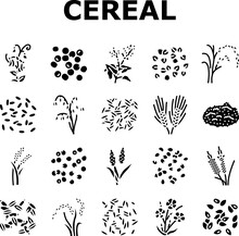 Cereal Plant Healthy Food Icons Set Vector. Breakfast Bowl, Milk Corn, Wheat Grain, Snack Morning, Organic Meal, Sweet Cereal Plant Healthy Food Glyph Pictogram Illustrations