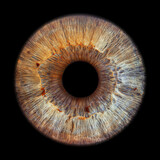 Fototapeta Sypialnia - Brown eye iris - human eye