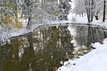 Canvas Print - Pond in the winter park surrounded by snow-covered trees.