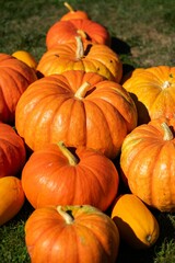 Canvas Print - Vertical closeup of a heap of ripe pumpkins. Harvest season.