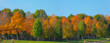 Bunte Laubbäume im Herbst, Bayern, Deutschland, Europa, Panorama 