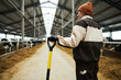 Back of young female farmer in workwear holding worktool while standing on long aisle between cowsheds with purebred dairy cows