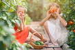 © travnikovstudio - Adorable girls having fun in greenhouse. Portrait of kid with basket with vegetables
