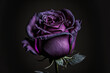 Leinwandbild Motiv Vintage Classic deep violet rose bouquet on dark background.Generative AI.