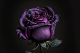 Vintage Classic deep violet rose bouquet on dark background.Generative AI.