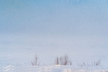 Wall Mural - Mist desending on a frozen field of snow.
