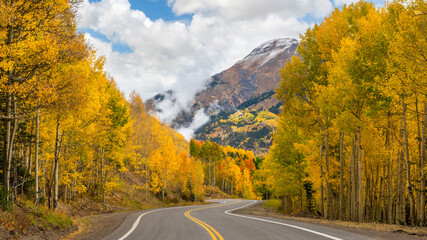 Wall Mural - Golden Autumn Aspen trees on the Million Dollar Highway in the Rocky Mountains - Colorado 