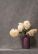 Bouquet Of White Flowers. Asters In A Purple Vase On A Gray Background. The Beauty Of The House. Comfort, Tranquility.