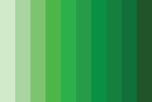 green color palette with code color collection background
