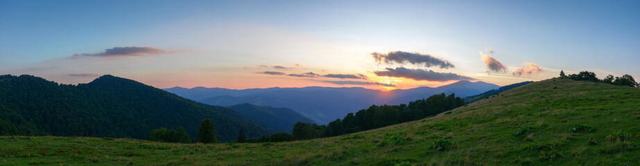 Wall Mural - panorama of svydovets ridge at sunset. beautiful summer landscape of carpathian mountains. grassy me