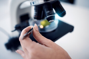  Science, scientist hand with tweezers and microscope with test sample zoom, research for scientific innovation in lab. Biotechnology or botany with doctor in lab and analysis with study closeup.