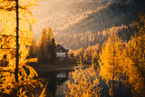 Fototapeta Tulipany - Federa lake during sunrise, with autumnal colors. Federa Lake, Cortina d'Ampezzo, Belluno province, Veneto, Italy