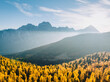 Aerial view on Antelao mountain with yellow larches. Cortiuna d'Ampezzo, Dolomites, Belluno province, Italy.