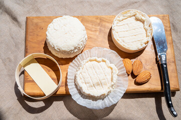 French cheeses Rocamadour and Saint-Marcellin served on olive tree wooden plank with almonds