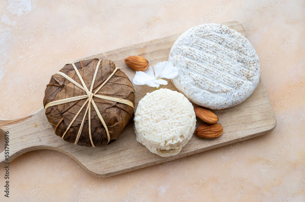 Taste of France, small round cheese Tome de Provence, matured small goat cheese and mountains cheese banon wrapped in chestnut leaves, Alpes-de-Haute-Provence, France