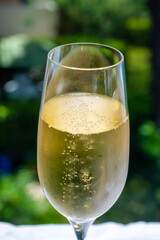 Drinking of French brut champagne sparkling wine in glasses in yacht harbour of Port Grimaud near Saint-Tropez, French Riviera vacation, France