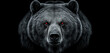 © Viks_jin - Front view of brown bear isolated on black background. Black and white portrait of Kamchatka bear. Predator series. digital art
