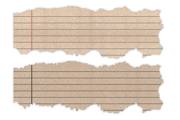 Fototapete - torn cardboard isolated on transparent background. Torn edges ripped paper PNG useful for your creativity and designing. Old dirty grainy dust paper page illustration. PNG image.