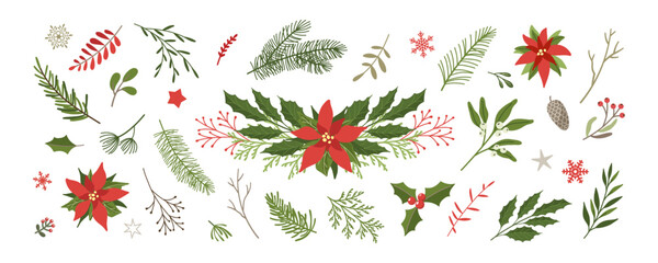 christmas floral design elements set. fir branches, leaves, tree twigs, berries, flowers, poinsettia