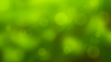 Wall Mural - bokeh green nature background with shiny light 