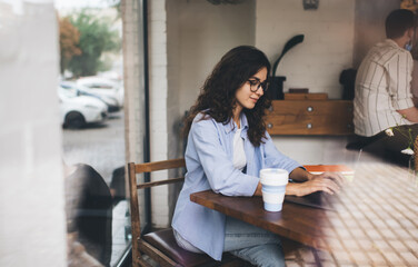 Wall Mural - Positive woman typing on laptop in cafe