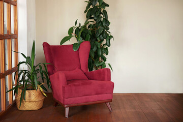 Armchair of the color of the year viva magenta in the interior with ficus and a palm tree in a basket. Mockup with copy space.