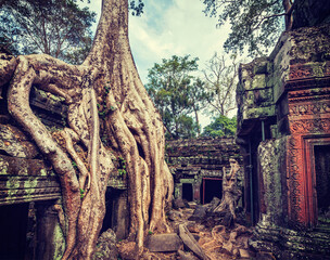 Fototapete - Ancient ruins and tree roots, Ta Prohm temple, Angkor, Cambodia