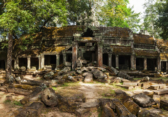 Fototapete - Travel Cambodia concept background - panorama of ancient ruins of Ta Prohm temple, Angkor, Cambodia