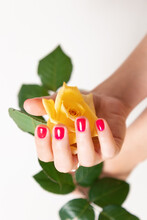 Beautiful Female Hands With Pink Bright Manicure Hold A Yellow Rose. Close-up. The Concept Of Salon Manicure And Professional Nail Care