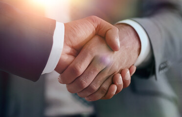 Fototapete - Business men giving a handshake. Business concept