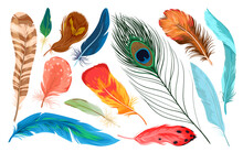 Colorful Nature Collection With Beautiful Bright Plumage Decoration Of Different Tropical Birds, Plume Feather From Wing Of Exotic Flying Animals. Feathers Set Vector Illustration