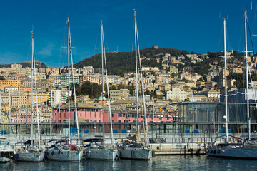 Wall Mural - Old Port of Genoa with colorful houses on italian coastline outdoor.