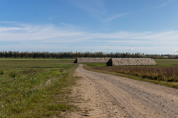 Wall Mural - A country road without asphalt or gravel