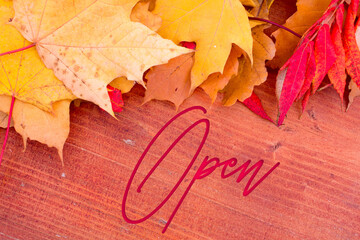 Poster - Autumn leaves, objects with Open text. Natural patterns, color design.