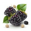  a bunch of blackberries with leaves and berries on a white background with a green leaf on the top. Generative AI