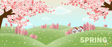Spring Banner With Sakura Tree And House On Hillside