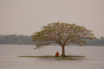 Wall Mural - Buddhist monk in meditation beside the river with beautiful nature background