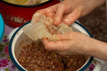 Wall Mural - how to make sarmales step by step, Sarmale, traditional Romanian food, rice in pickled cabbage leaves,