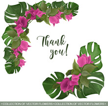 Vector Tropical Angle For Floral Design. Pink Bougainvillea Flower, Monstera Leaves And Palm Trees. Tropical Floral Set 