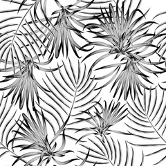 Wall Mural - fashionable prints texture with tropical palm leaves and plants foliage on white background. tropical seamless pattern. nature wallpaper decorative. simple design. flat background. spring design