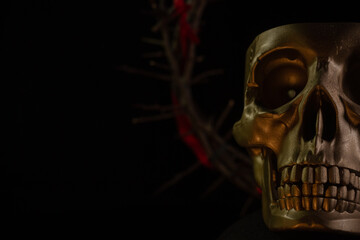 Wall Mural - Skull of a person with crown of thorns close up on a black background