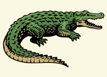 Crocodile In Hand Drawn Vintage Style