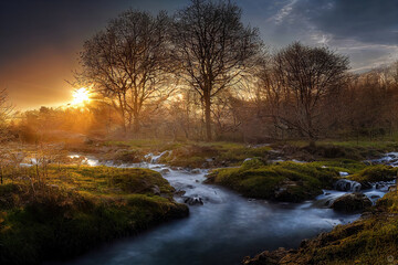 Wall Mural - beautiful calm river in the mountains in spring morning