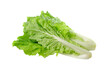 lettuce leaves isolated on transparent png