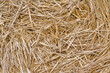 © dmdartworx - hey from a hay bales, background