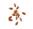 flax seeds isolated on transparent png